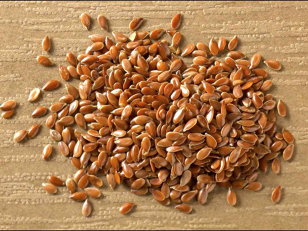 Flaxseeds and Their Benefits – Tavazo USA