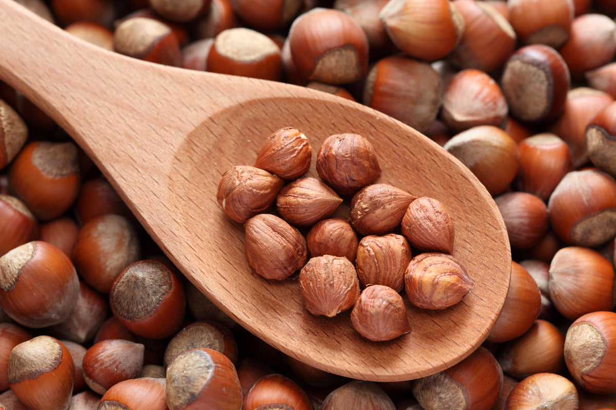 Hazelnuts Vs. Filberts What's The Difference? Tavazo