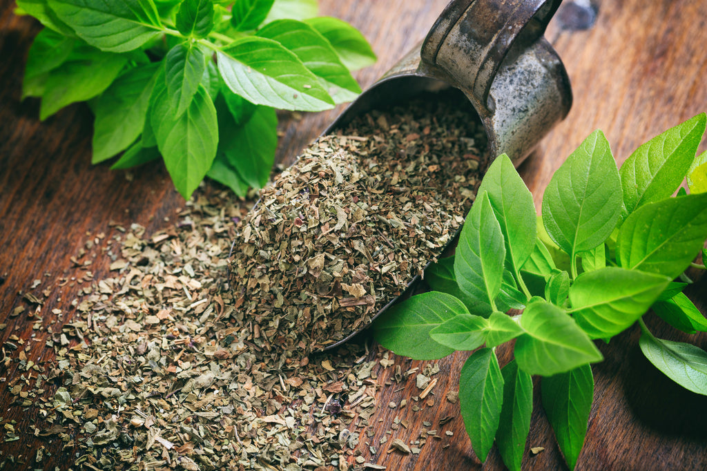 The Culinary Conundrum: Fresh Vs. Dried Basil For Optimal Flavor?