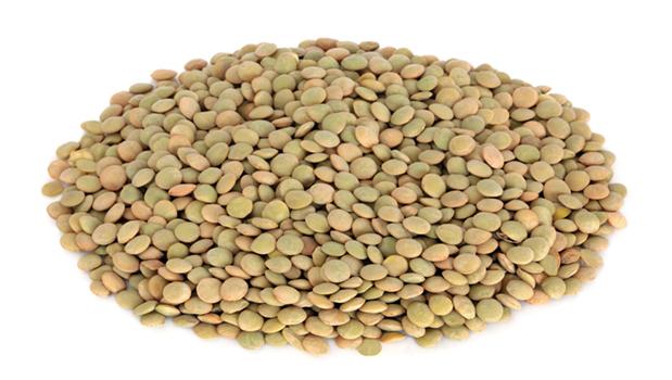 Organic green lentils