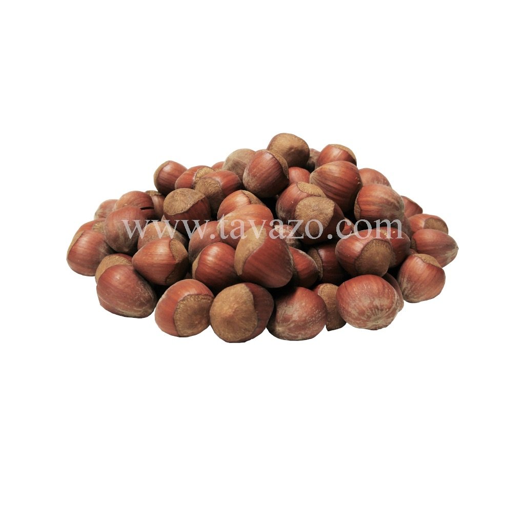 Hazelnuts In Shell