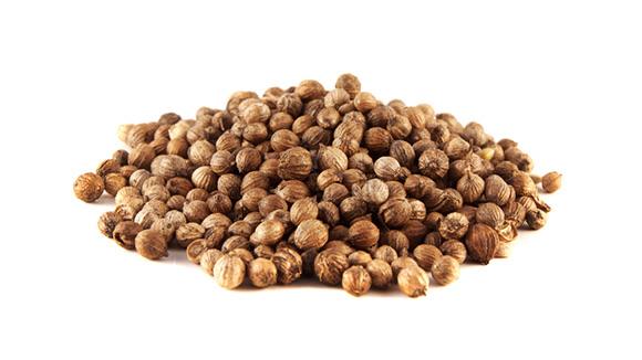 coriander-seeds-tokhme-gishniz
